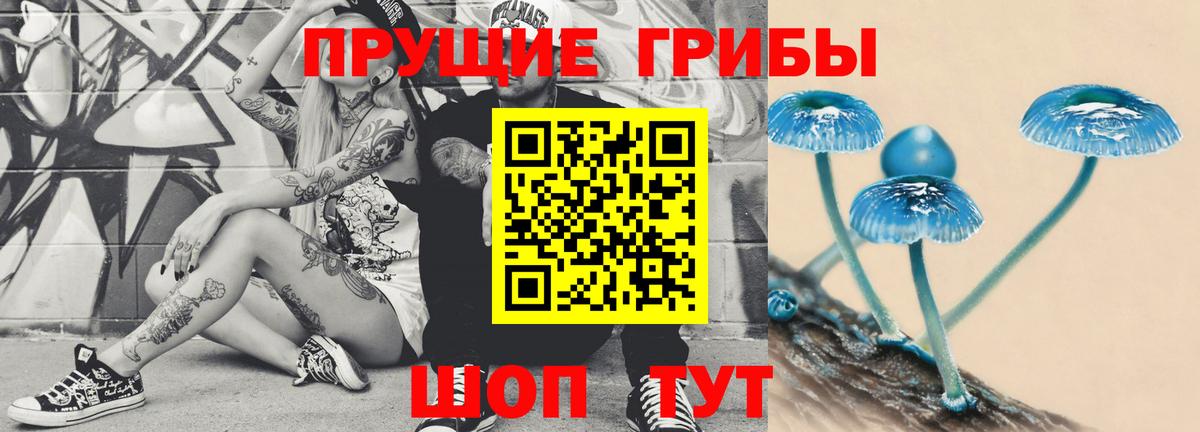 Галлюциногенные грибы Magic Shrooms  Вход с VPN  где купить   Волхов 